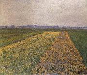 Gustave Caillebotte Yellow field Germany oil painting artist
